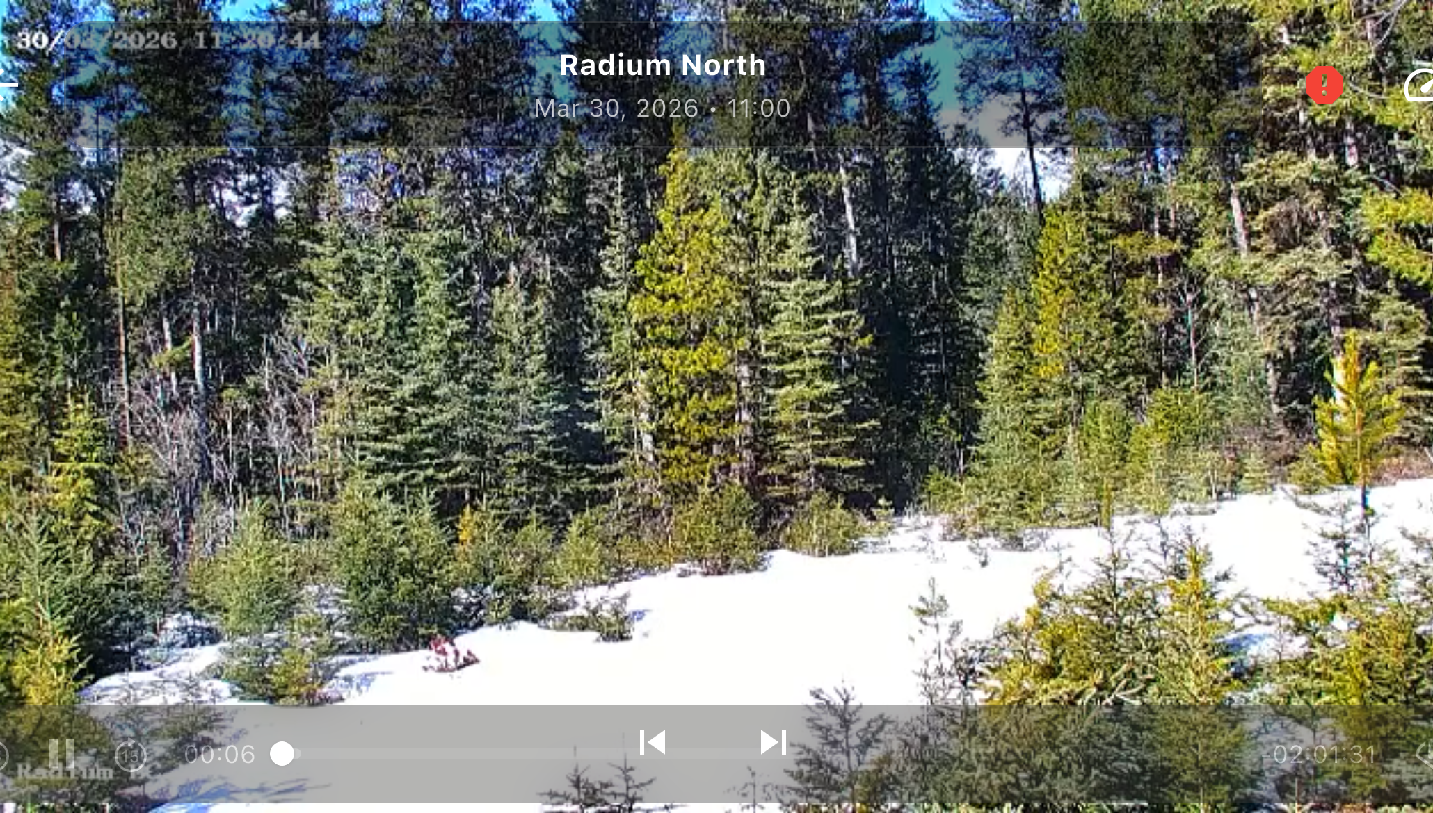Night-vision style stream still from a monitored site