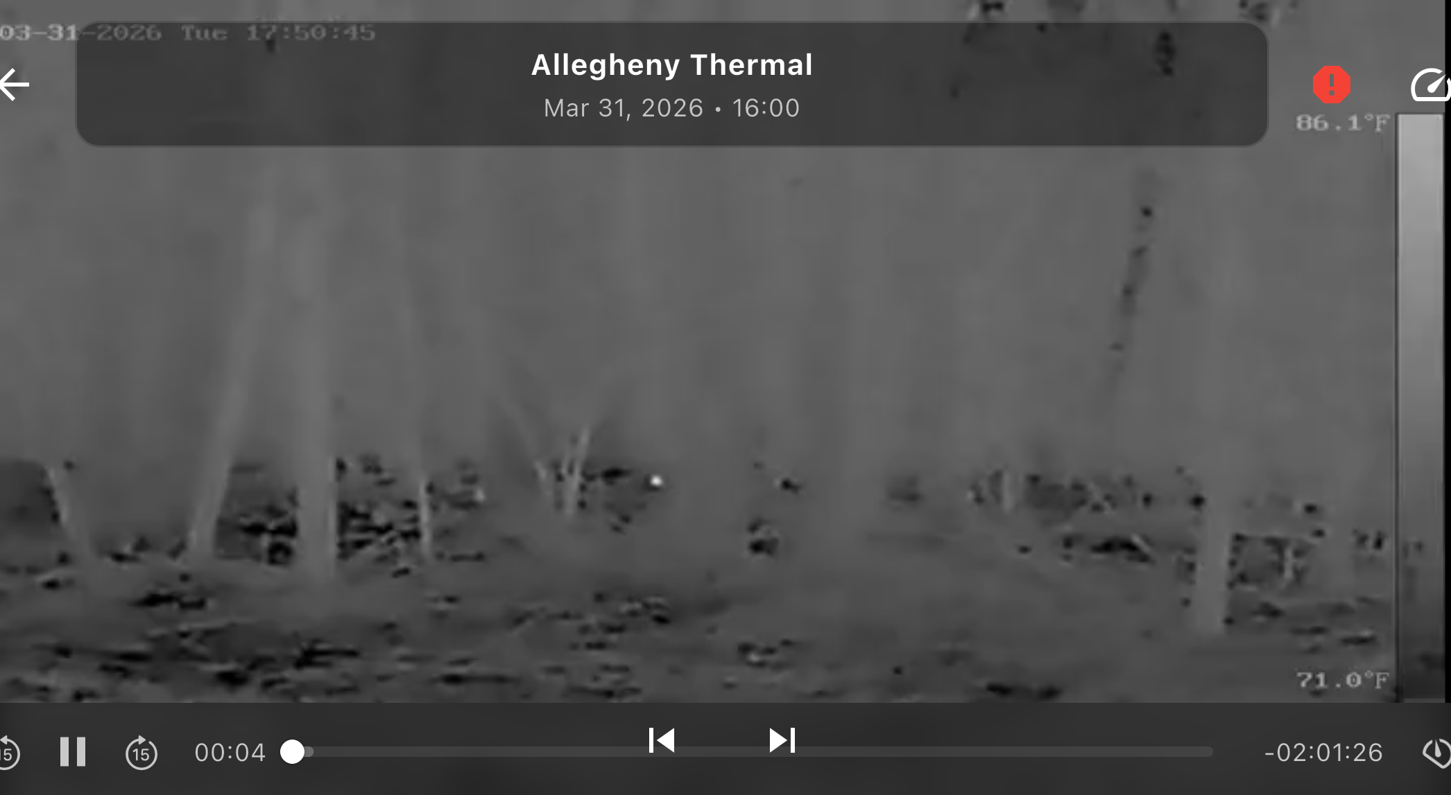 Sample view from a remote research camera feed